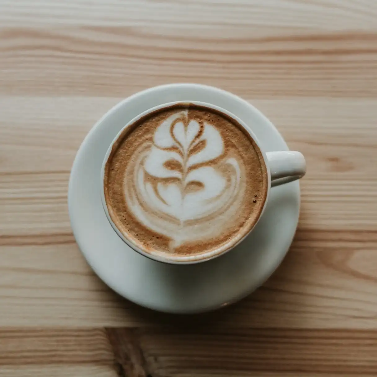 Test para Cafeterías | SentidoPRO Demo