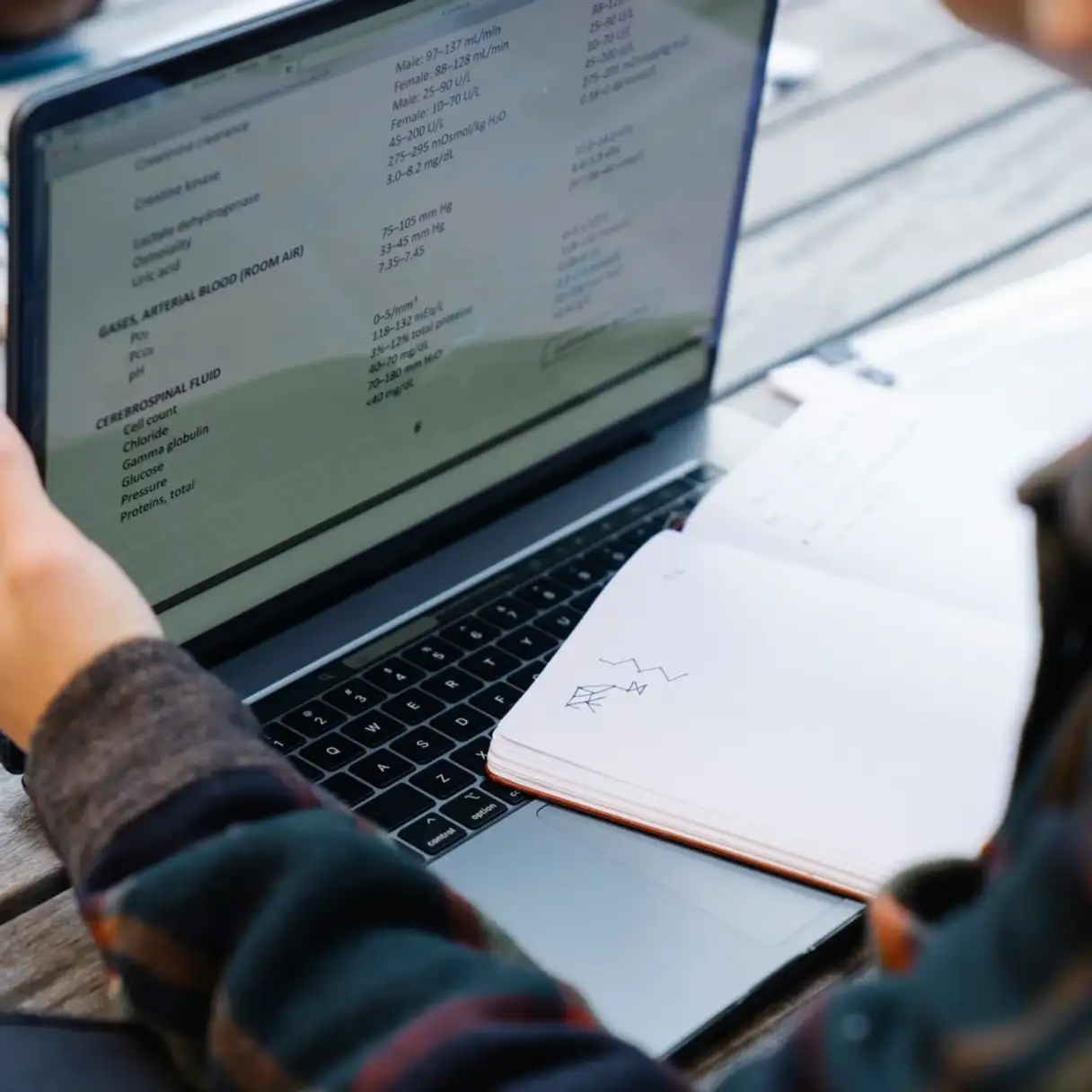 Test para Academias e Institutos | SentidoPRO Demo